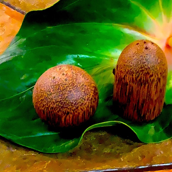 Unique and Unbranded Salt and Pepper Shakers - possibly coconut shell - Picture 1 of 8